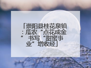 崇阳县桂花泉镇：瓜农“点花成金” 书写“甜蜜事业”增收经