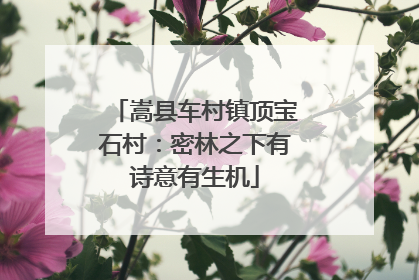 嵩县车村镇顶宝石村：密林之下有诗意有生机