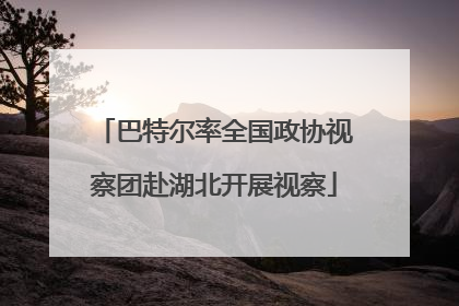 巴特尔率全国政协视察团赴湖北开展视察