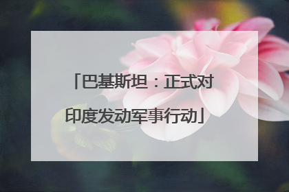 巴基斯坦：正式对印度发动军事行动