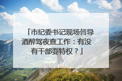 市纪委书记现场督导酒醉驾夜查工作：有没有干部耍特权？