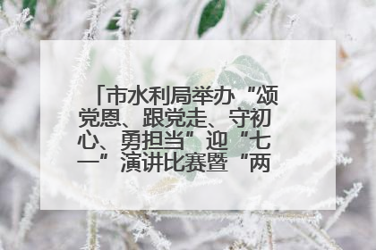 市水利局举办“颂党恩、跟党走、守初心、勇担当”迎“七一”演讲比赛暨“两优一先”表彰活动