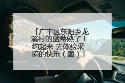 广丰区东阳乡龙溪村的蓝莓熟了！约起来 去体验采摘的快乐（图）
