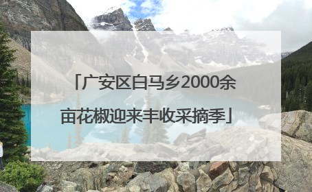 广安区白马乡2000余亩花椒迎来丰收采摘季
