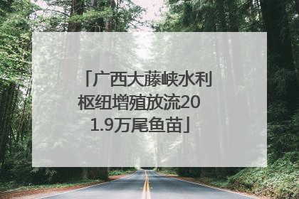 广西大藤峡水利枢纽增殖放流201.9万尾鱼苗