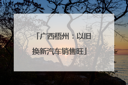 广西梧州：以旧换新汽车销售旺