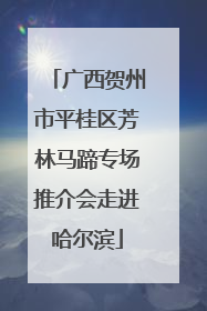 广西贺州市平桂区芳林马蹄专场推介会走进哈尔滨
