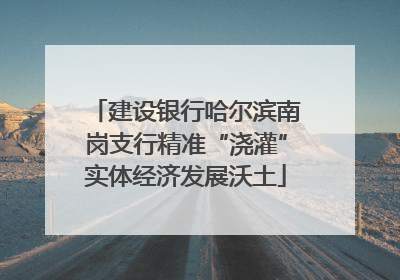 建设银行哈尔滨南岗支行精准“浇灌”实体经济发展沃土