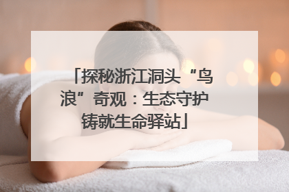 探秘浙江洞头“鸟浪”奇观：生态守护铸就生命驿站