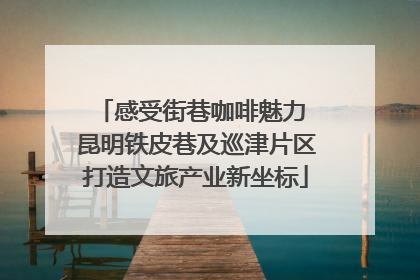 感受街巷咖啡魅力 昆明铁皮巷及巡津片区打造文旅产业新坐标