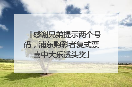 感谢兄弟提示两个号码，浦东购彩者复式票喜中大乐透头奖