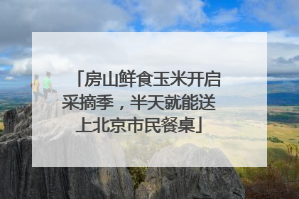 房山鲜食玉米开启采摘季，半天就能送上北京市民餐桌