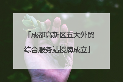 成都高新区五大外贸综合服务站授牌成立