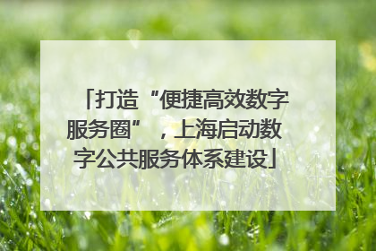 打造“便捷高效数字服务圈”，上海启动数字公共服务体系建设