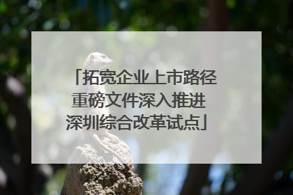 拓宽企业上市路径 重磅文件深入推进深圳综合改革试点