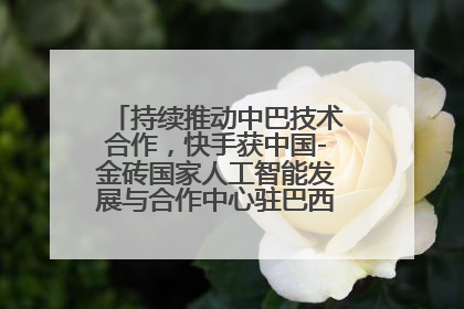 持续推动中巴技术合作，快手获中国-金砖国家人工智能发展与合作中心驻巴西成果转化中心授牌