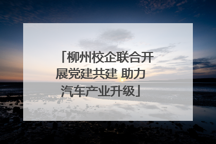 柳州校企联合开展党建共建 助力汽车产业升级