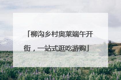 柳沟乡村奥莱端午开街，一站式逛吃游购