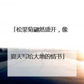 松果菊翩然盛开，像夏天写给大地的情书