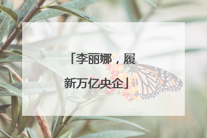 李丽娜，履新万亿央企