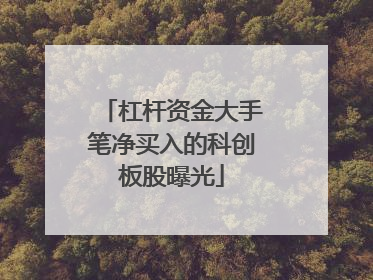杠杆资金大手笔净买入的科创板股曝光
