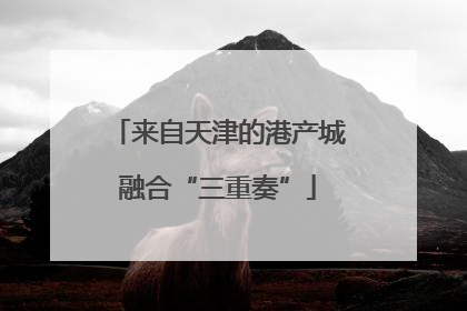 来自天津的港产城融合“三重奏”