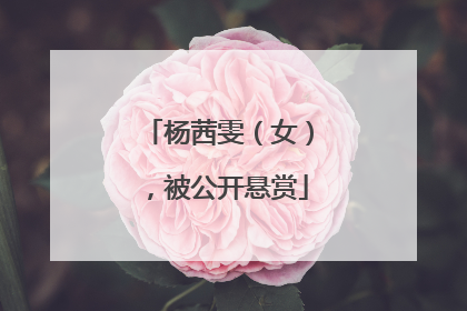 杨茜雯（女），被公开悬赏
