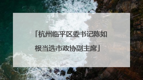 杭州临平区委书记陈如根当选市政协副主席