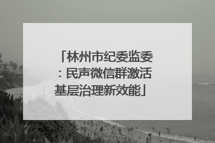 林州市纪委监委：民声微信群激活基层治理新效能