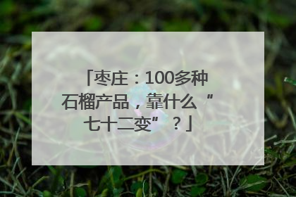 枣庄：100多种石榴产品，靠什么“七十二变”？