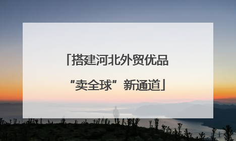 搭建河北外贸优品“卖全球”新通道