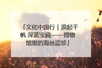 文化中国行｜浪起千帆 深蓝宝藏——博物馆里的海丝遗珍