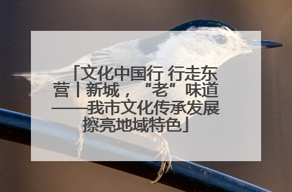 文化中国行 行走东营丨新城，“老”味道——我市文化传承发展擦亮地域特色