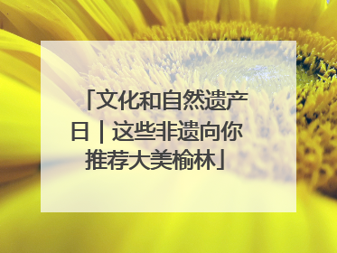 文化和自然遗产日｜这些非遗向你推荐大美榆林