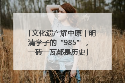 文化遗产耀中原｜明清学子的“985”，一砖一瓦都是历史