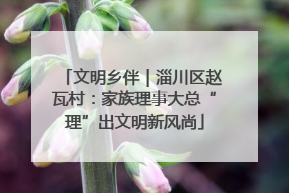 文明乡伴｜淄川区赵瓦村：家族理事大总“理”出文明新风尚