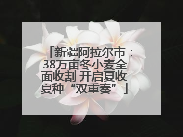 新疆阿拉尔市：38万亩冬小麦全面收割 开启夏收夏种“双重奏”