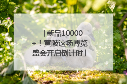 新品10000+！黄陂这场博览盛会开启倒计时