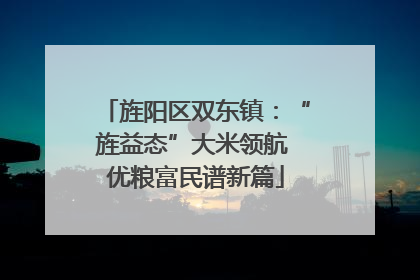 旌阳区双东镇：“旌益态”大米领航 优粮富民谱新篇