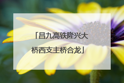 昌九高铁隆兴大桥西支主桥合龙