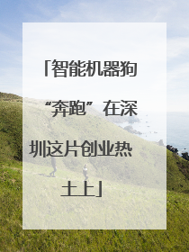 智能机器狗“奔跑”在深圳这片创业热土上