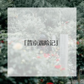 普京遇险记