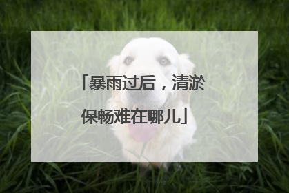 暴雨过后，清淤保畅难在哪儿
