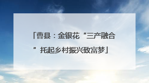 曹县：金银花“三产融合”托起乡村振兴致富梦