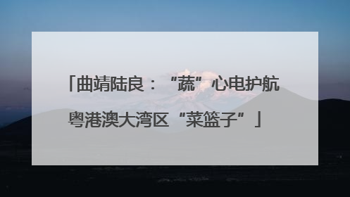曲靖陆良：“蔬”心电护航粤港澳大湾区“菜篮子”