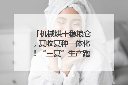 机械烘干稳粮仓，夏收夏种一体化！“三夏”生产跑出加速度｜麦报