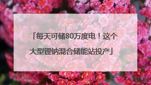 每天可储80万度电！这个大型锂钠混合储能站投产