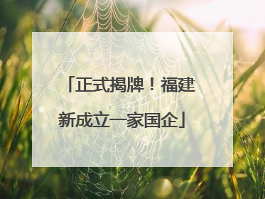 正式揭牌！福建新成立一家国企