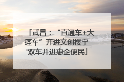 武昌：“直通车+大篷车”开进文创楼宇 双车并进惠企便民