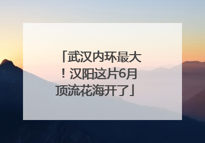 武汉内环最大！汉阳这片6月顶流花海开了